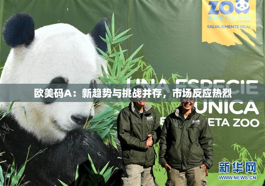 欧美码A：新趋势与挑战并存，市场反应热烈