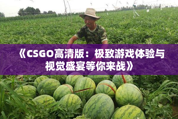 《CSGO高清版：极致游戏体验与视觉盛宴等你来战》