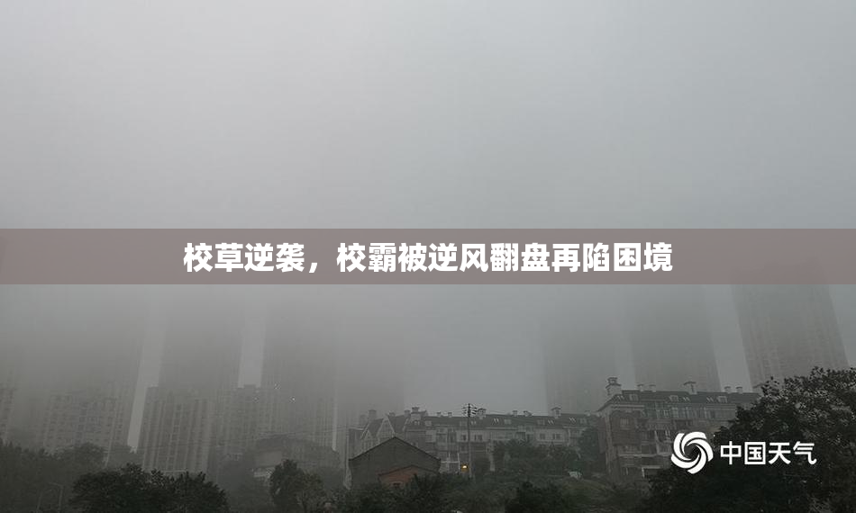 校草逆袭，校霸被逆风翻盘再陷困境