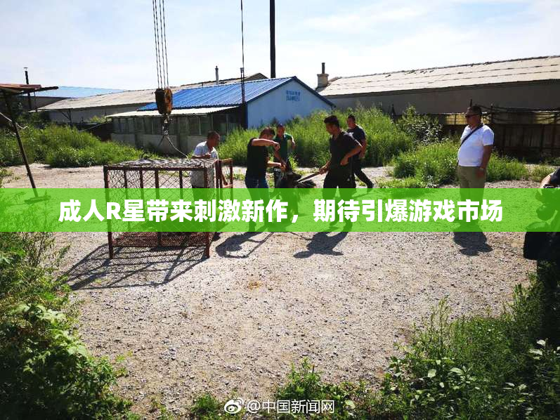 成人R星带来刺激新作，期待引爆游戏市场
