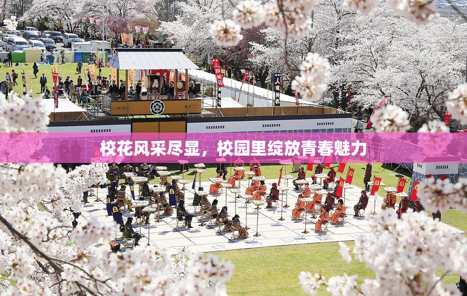 校花风采尽显，校园里绽放青春魅力