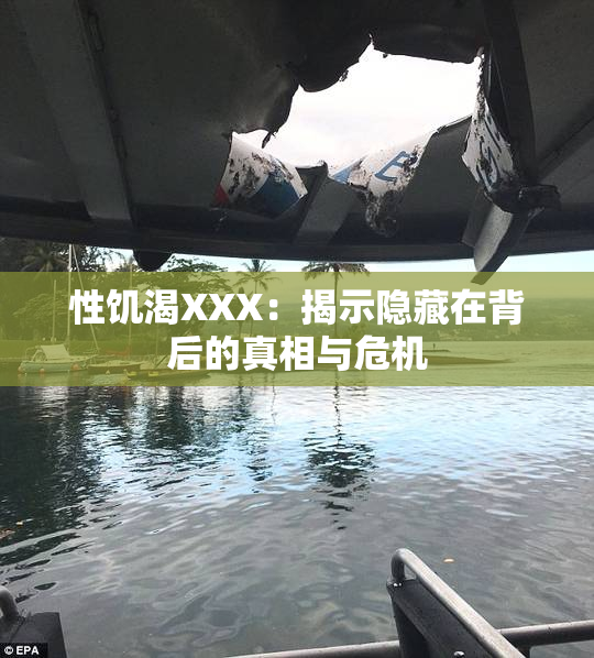 性饥渴XXX：揭示隐藏在背后的真相与危机
