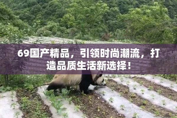 69国产精品，引领时尚潮流，打造品质生活新选择！