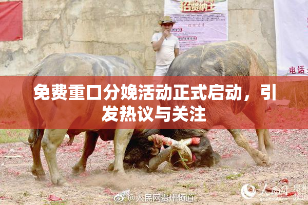 免费重口分娩活动正式启动，引发热议与关注