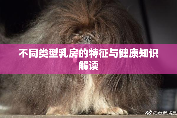不同类型乳房的特征与健康知识解读
