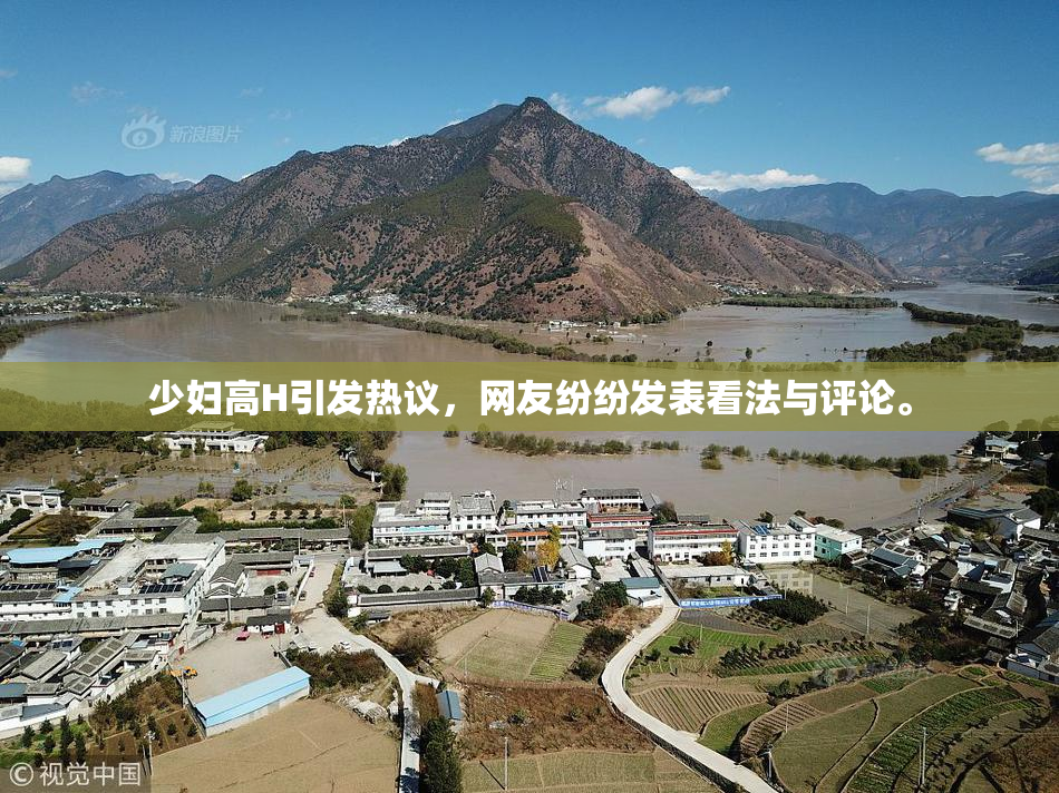 少妇高H引发热议，网友纷纷发表看法与评论。