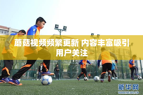 蘑菇视频频繁更新 内容丰富吸引用户关注