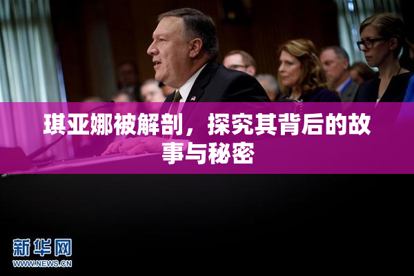 琪亚娜被解剖，探究其背后的故事与秘密