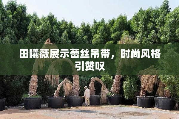 田曦薇展示蕾丝吊带，时尚风格引赞叹