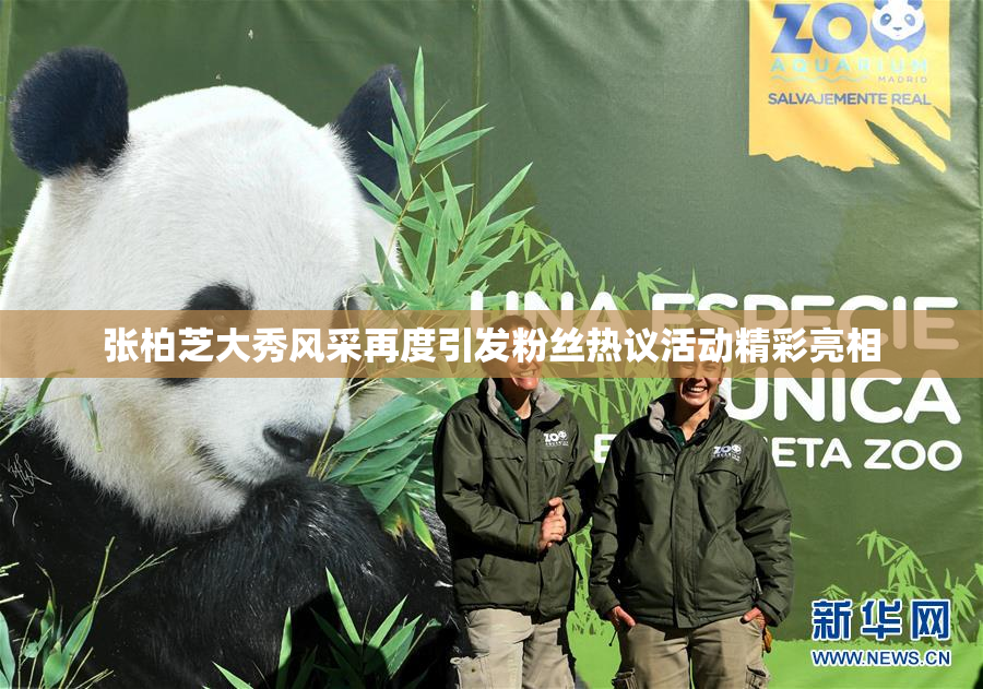 张柏芝大秀风采再度引发粉丝热议活动精彩亮相