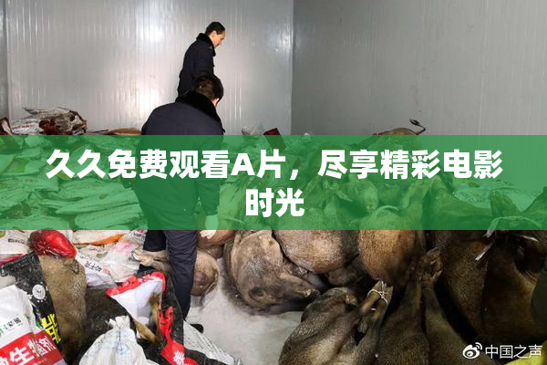 久久免费观看A片，尽享精彩电影时光