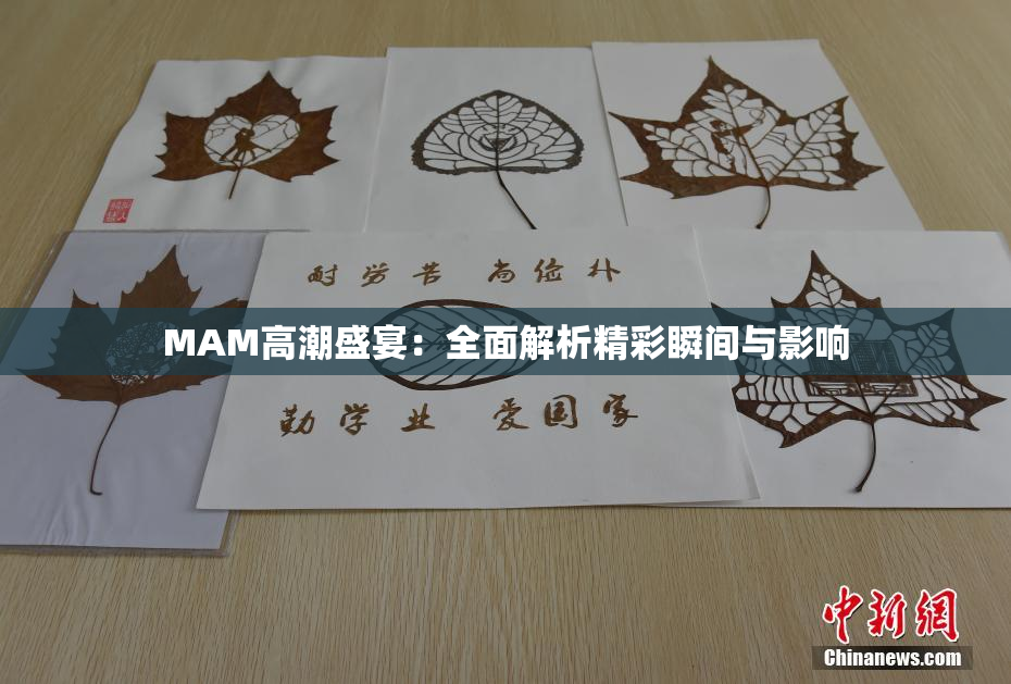 MAM高潮盛宴：全面解析精彩瞬间与影响