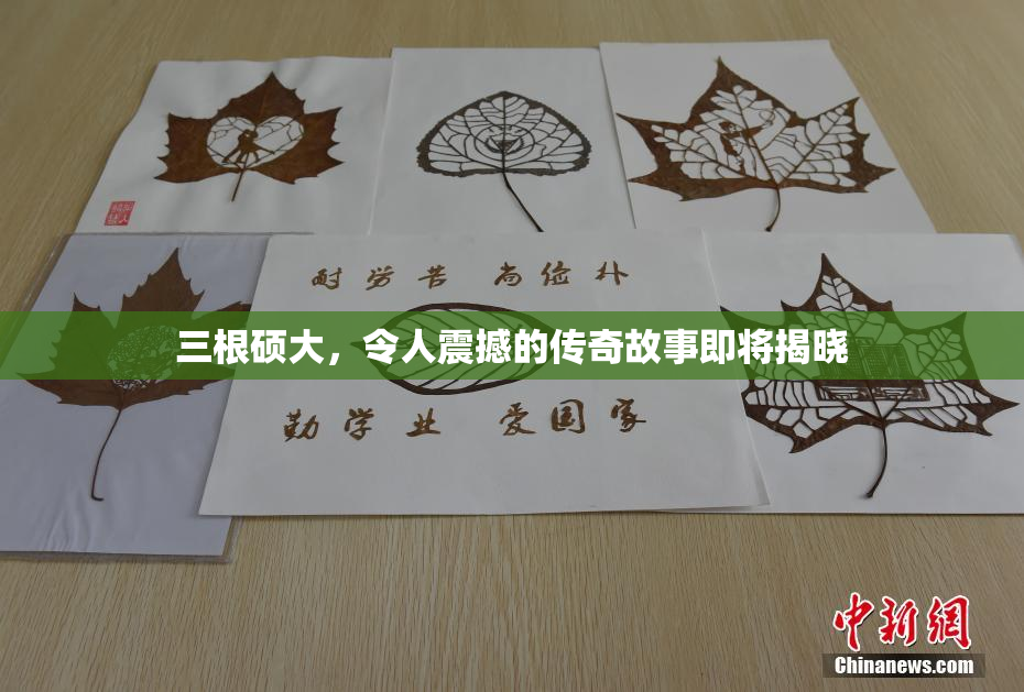 三根硕大，令人震撼的传奇故事即将揭晓