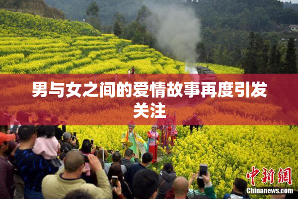 男与女之间的爱情故事再度引发关注
