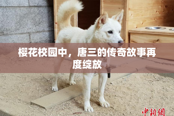 樱花校园中，唐三的传奇故事再度绽放