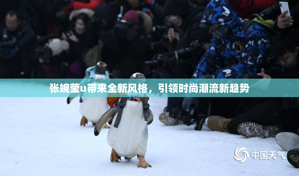 张婉莹u带来全新风格，引领时尚潮流新趋势