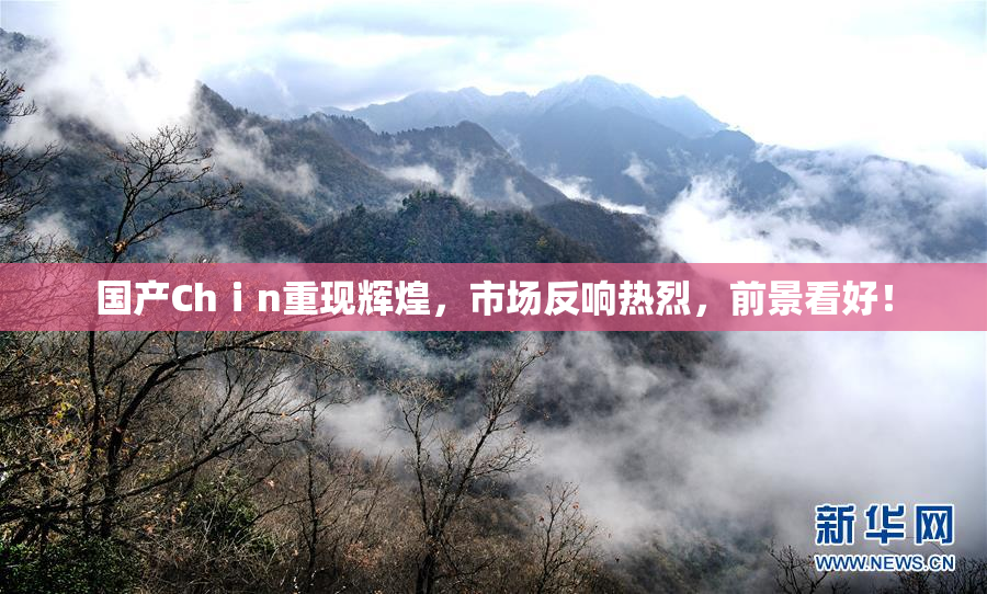 国产Chⅰn重现辉煌，市场反响热烈，前景看好！