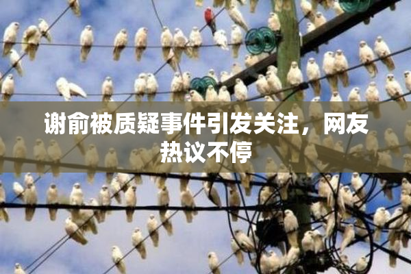谢俞被质疑事件引发关注，网友热议不停