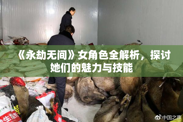 《永劫无间》女角色全解析，探讨她们的魅力与技能
