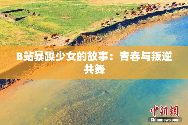 B站暴躁少女的故事：青春与叛逆共舞