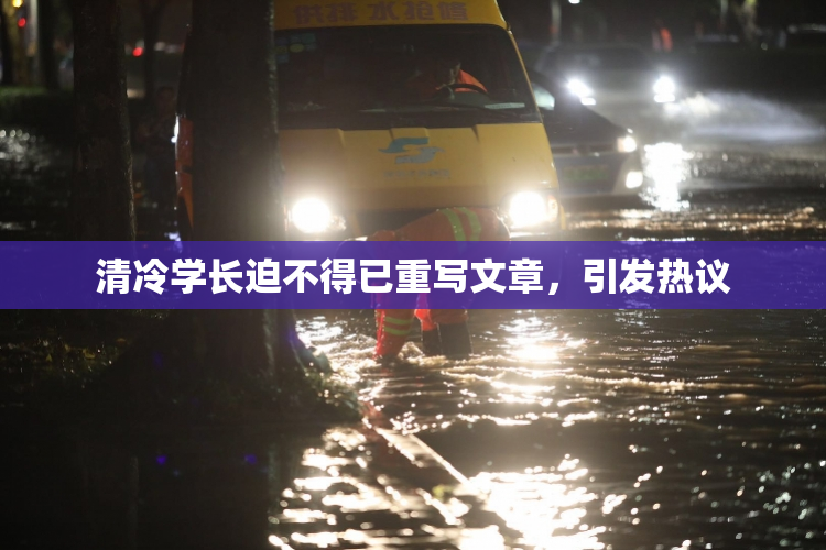 清冷学长迫不得已重写文章，引发热议