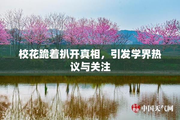 校花跪着扒开真相，引发学界热议与关注