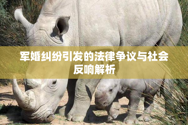 军婚纠纷引发的法律争议与社会反响解析