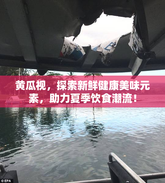 黄瓜视，探索新鲜健康美味元素，助力夏季饮食潮流！