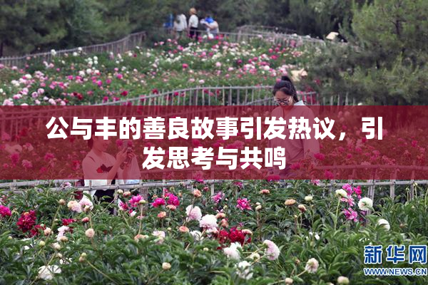 公与丰的善良故事引发热议，引发思考与共鸣