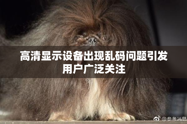 高清显示设备出现乱码问题引发用户广泛关注