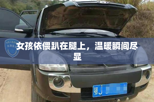 女孩依偎趴在腿上，温暖瞬间尽显