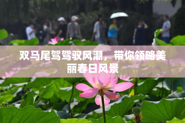 双马尾驾驾驭风潮，带你领略美丽春日风景