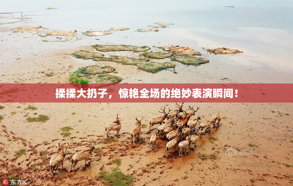 揉揉大扔子，惊艳全场的绝妙表演瞬间！