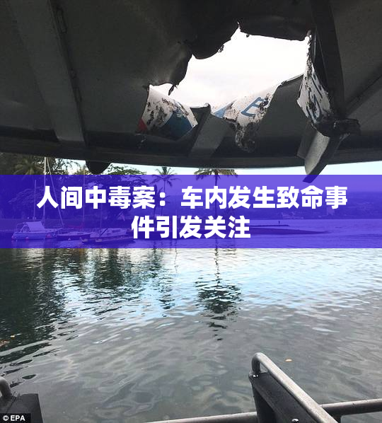 人间中毒案：车内发生致命事件引发关注