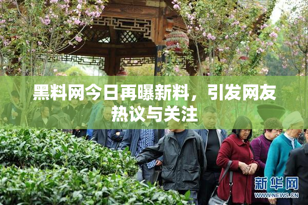 黑料网今日再曝新料，引发网友热议与关注