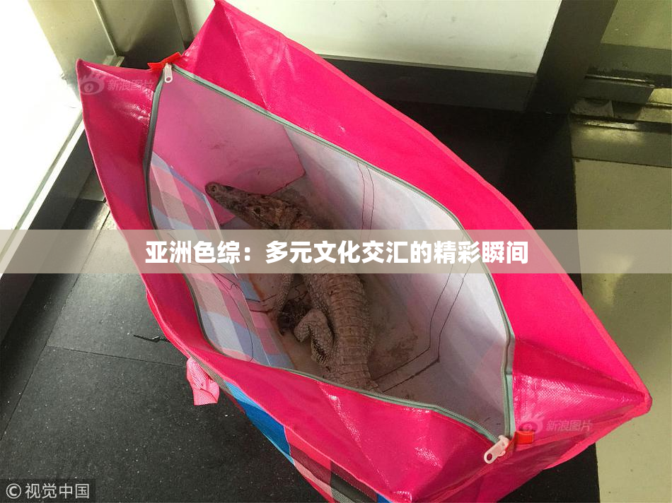 亚洲色综：多元文化交汇的精彩瞬间