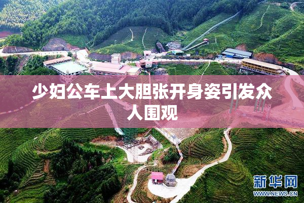 少妇公车上大胆张开身姿引发众人围观
