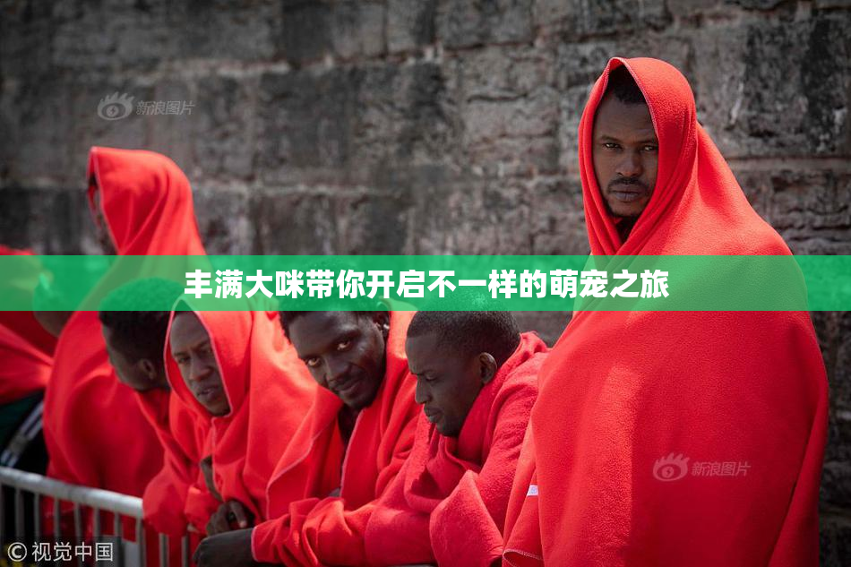 丰满大咪带你开启不一样的萌宠之旅