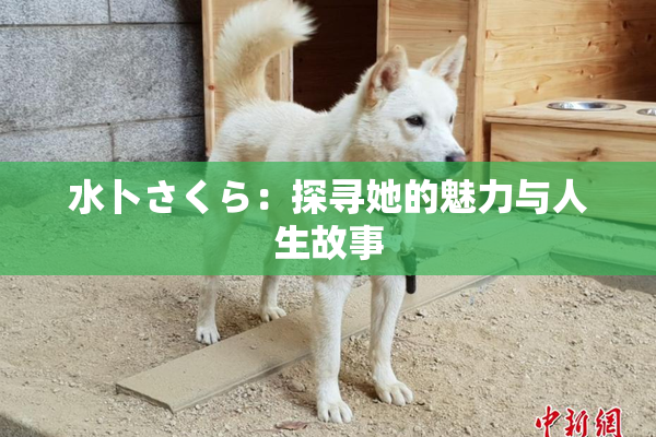 水卜さくら：探寻她的魅力与人生故事