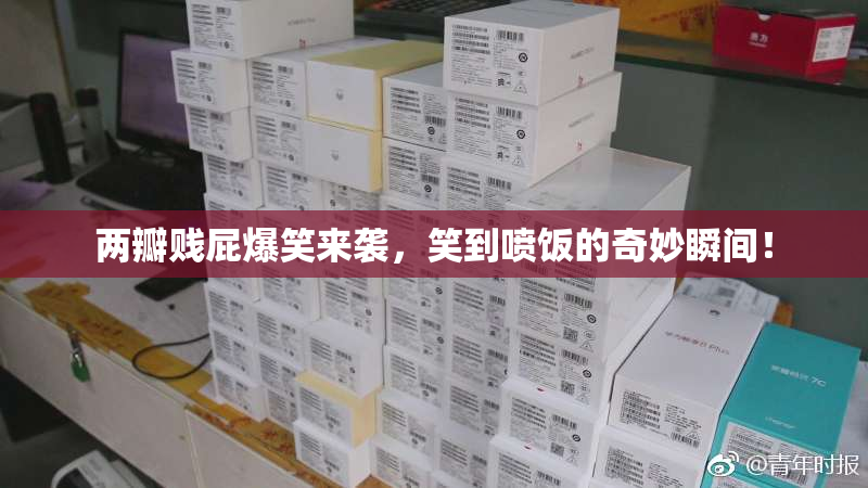 两瓣贱屁爆笑来袭，笑到喷饭的奇妙瞬间！