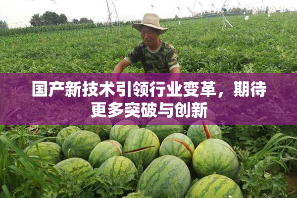 国产新技术引领行业变革，期待更多突破与创新
