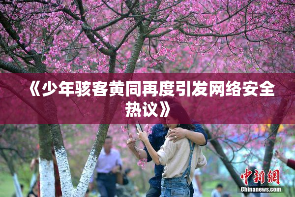 《少年骇客黄同再度引发网络安全热议》