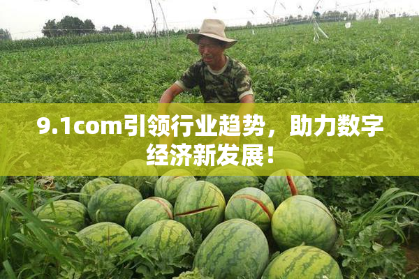 9.1com引领行业趋势，助力数字经济新发展！