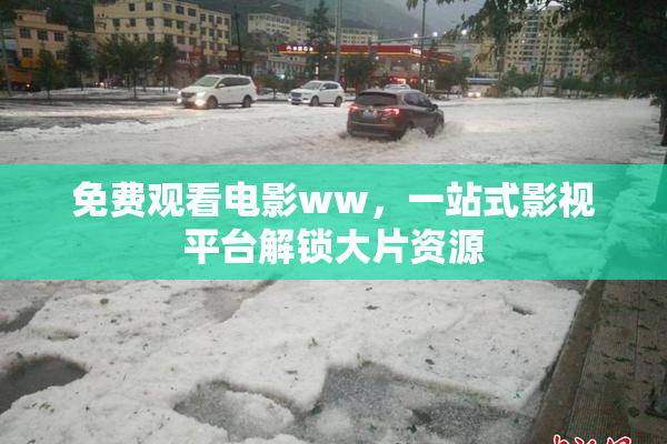 免费观看电影ww，一站式影视平台解锁大片资源
