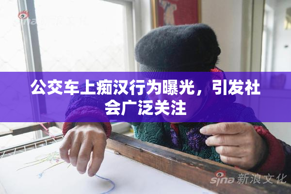 公交车上痴汉行为曝光，引发社会广泛关注