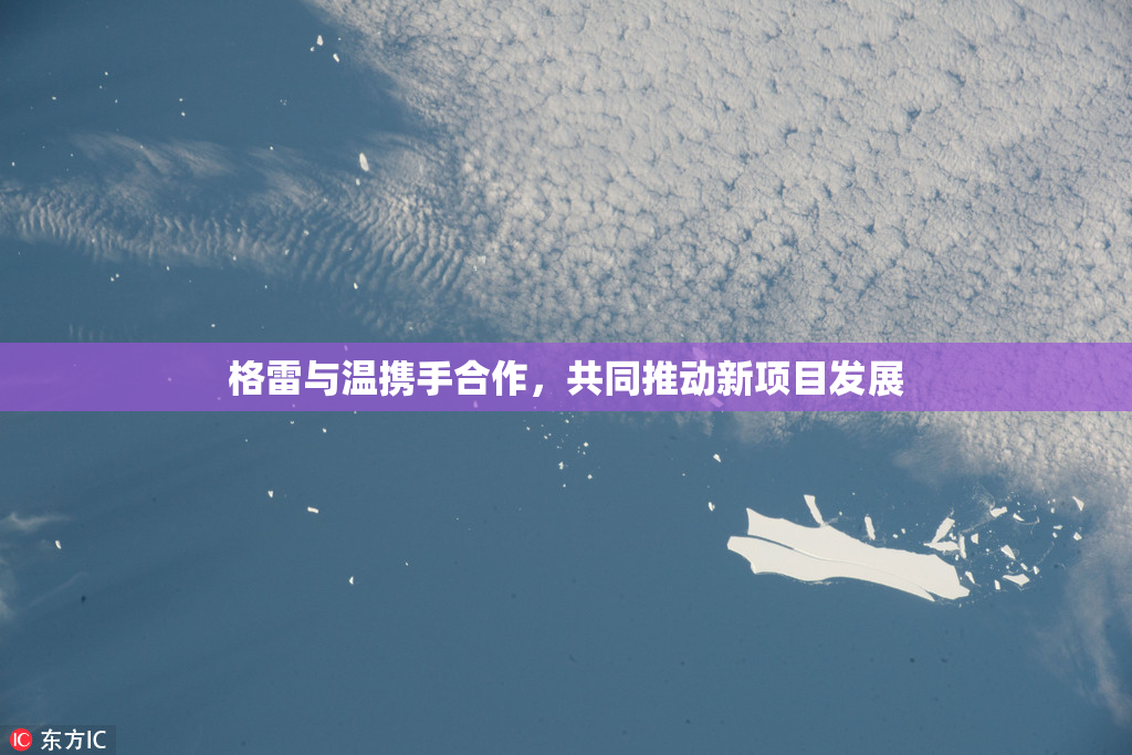 格雷与温携手合作，共同推动新项目发展