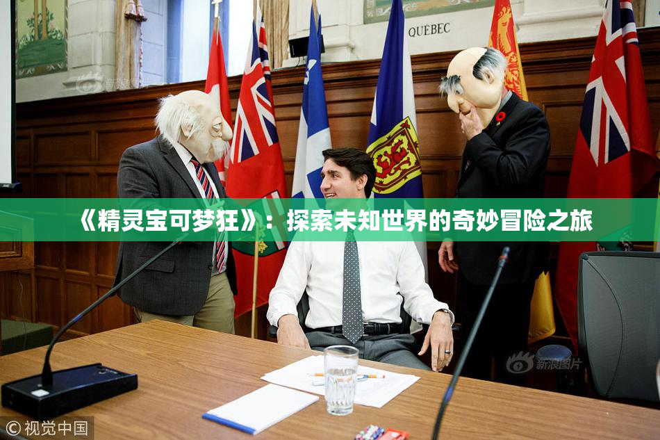《精灵宝可梦狂》：探索未知世界的奇妙冒险之旅