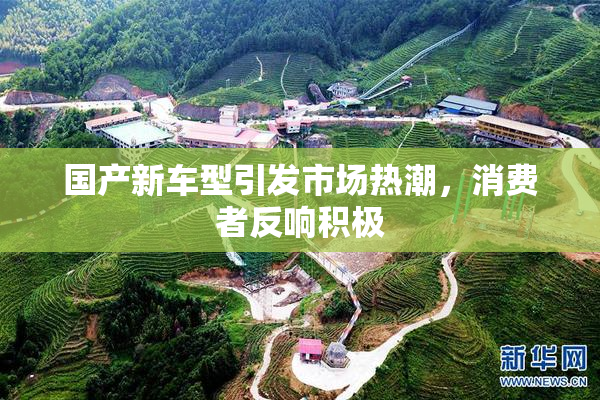 国产新车型引发市场热潮，消费者反响积极