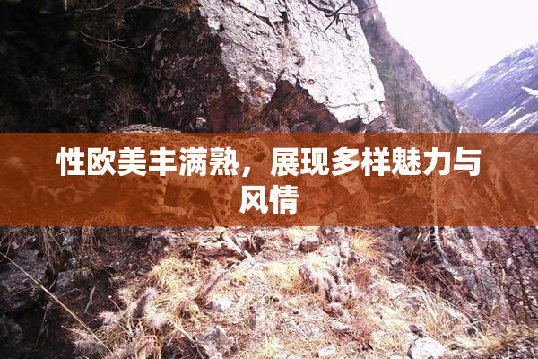性欧美丰满熟，展现多样魅力与风情