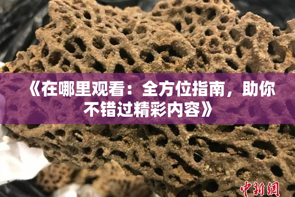 《在哪里观看：全方位指南，助你不错过精彩内容》